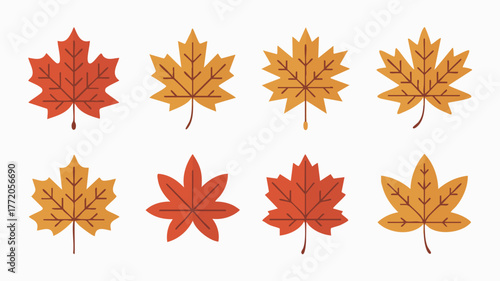Collection of eight colorful maple leaves in various shades of autumn, isolated on white.