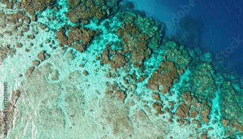 Fototapeta Naklejka Na Ścianę i Meble -  Aerial View of Ocean Reef Mosaic Cyan Turquoise