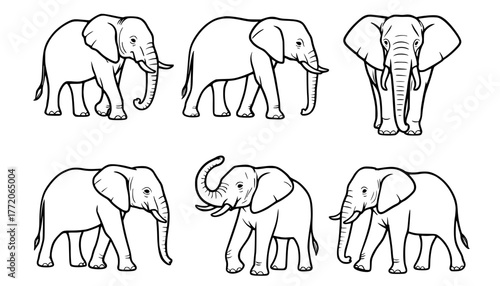 Illustration of 6 Elephants, outline version