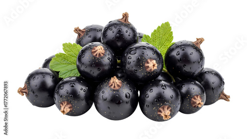 Freshly washed ripe blackcurrants with dewy water drops and green leaves isolated on a transparent background