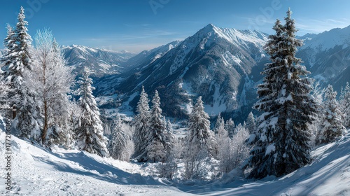 Snow Covered Mountain Range with Evergreen Trees and Blue Sky in Sunny Weather Winter Landscape Wide Shot Panorama View Outdoor Scenery