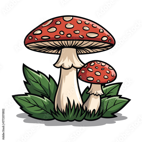 Amanita mushroom illustration growing in grass and foliage spotted red toadstool toadstool forest drawing