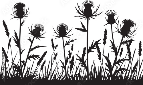 Wild Thistle Field Silhouette with Grass and Weeds Illustration