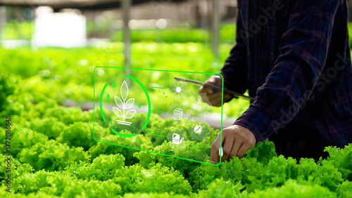Modern smart farming using digital technology to monitor and control vegetable growth for sustainable agriculture.