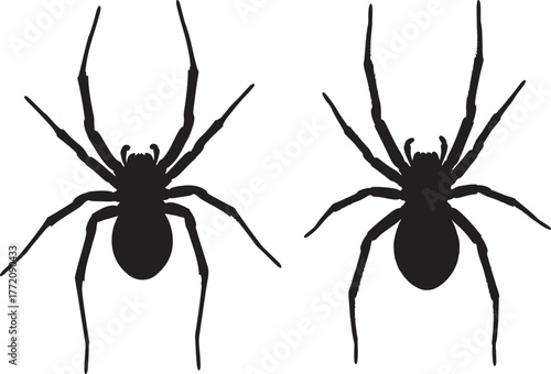 Two black spider silhouettes facing upwards silhouette