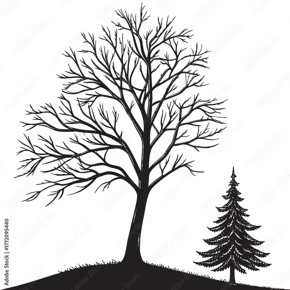Obraz premium Black silhouette of bare tree and evergreen on grassy hill