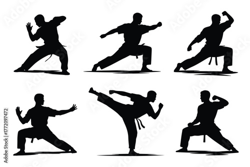 Dynamic martial arts poses silhouettes karate combat