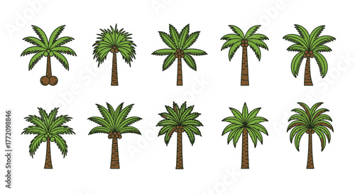 Cartoon palm tree set design, tropical plant icons collection vector