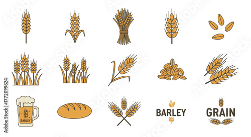 Wheat Grain Barley Crop Vector Icons Set