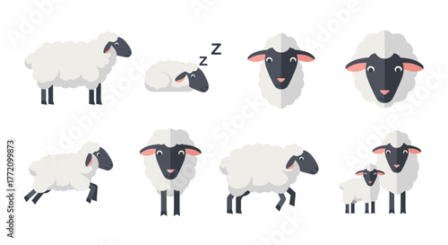 Cute Cartoon Sheep Vector Set Graphic Illustration Farm Animal Icons