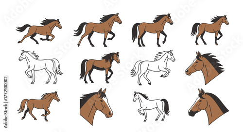 Horse Illustrations Set Equestrian Vector Line Art Brown Outline