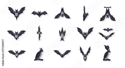 Different Bat Poses and Positions for Halloween Designs