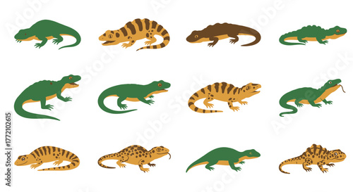 Various Reptile Icons Vector Illustration Set