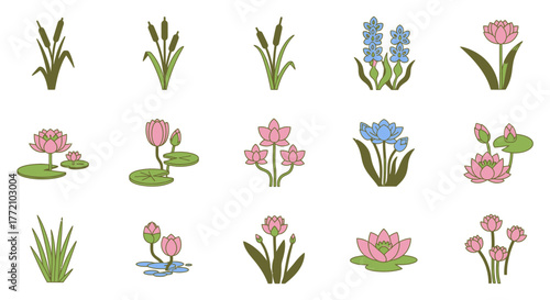 Aquatic Floral Set Cartoon Illustrations, Pond Plants, Flora Designs
