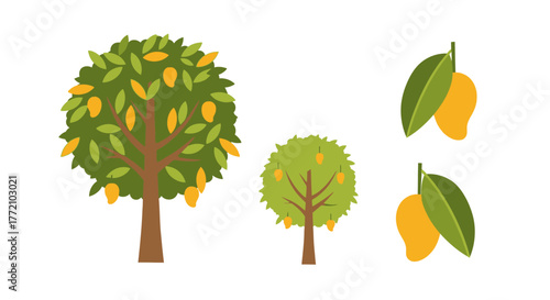 Mango Tree Vector Illustration Set with Ripe Fruits and Green Leaves