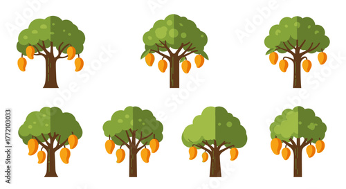 Mango Tree Orchard Flat Vector Illustration Isolated on White