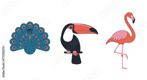 Tropical birds peacock toucan flamingo illustration vector art