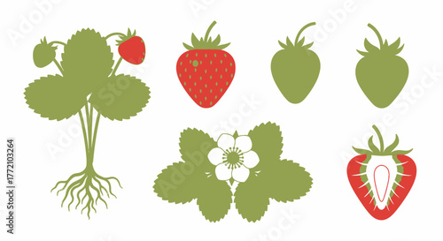 Strawberry Life Cycle Silhouettes Graphic Botanical Elements