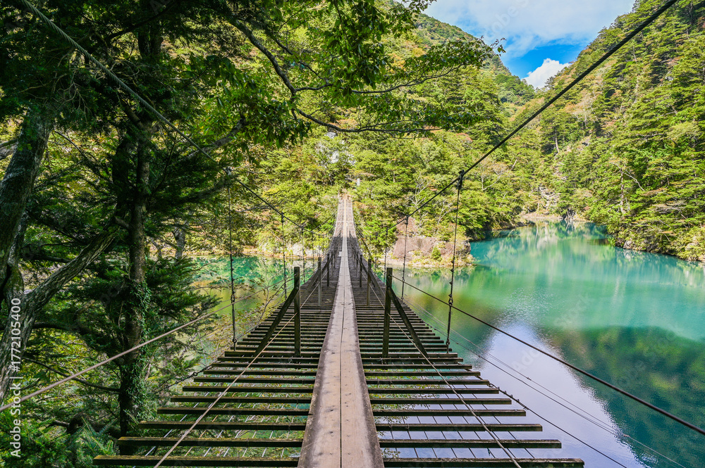 Fototapeta premium 静岡県寸又峡の夢のつり橋