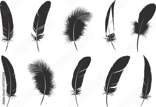 Set of detailed black feather silhouettes, natural bird feathers illustration, decorative vector collection, elegant plumage design elements for artwork, nature