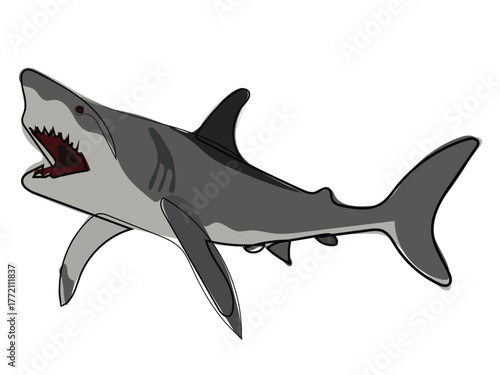 Shark in continuous line drawing