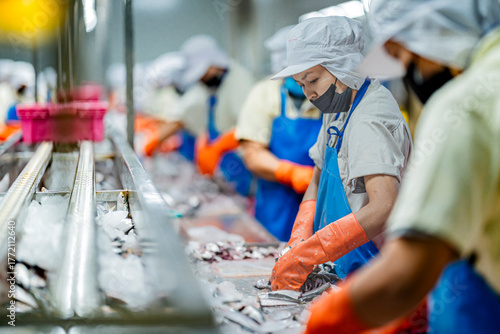 Workers perform manual quality control on a smart factory line. They sort fresh fish, ensuring food safety and HACCP compliance for the automated canning system.