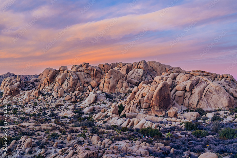 Obraz premium Sun set at Joshua tree