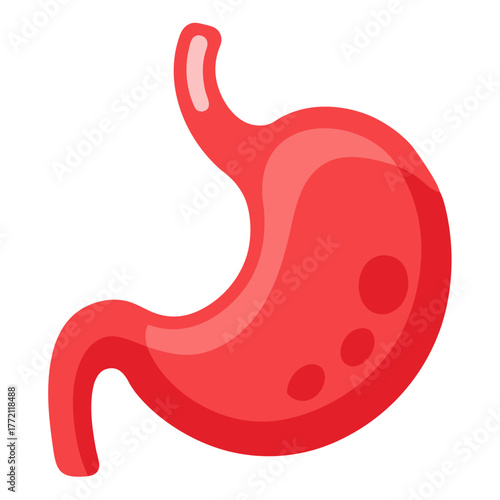 a human stomach in coral-red and pink tones, no background vector file.