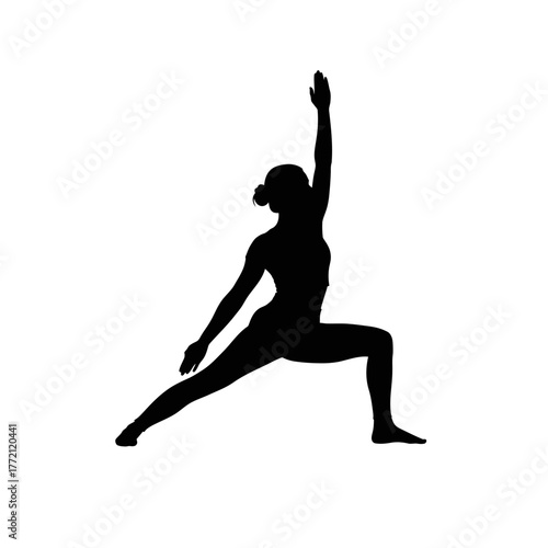 Dedicated Silhouette of a Woman Executing the Warrior Two Virabhadrasana II Yoga Pose