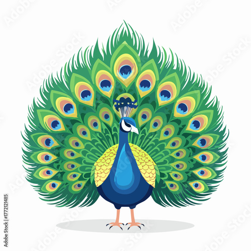 Beautiful blue and green colorful peacock bird portrait with bright plumage and a long tail feather
