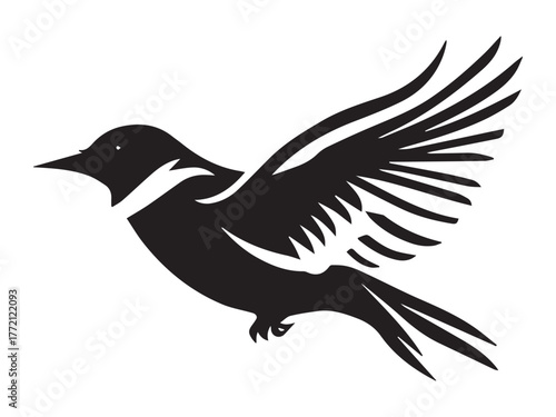 A beautiful bird is flying