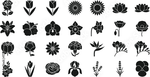 Collection of black and white silhouettes of various flowers and plants isolated on transparent background