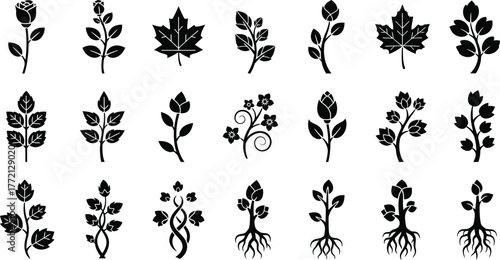 Collection of various botanical illustrations of leaves and branches isolated on transparent background