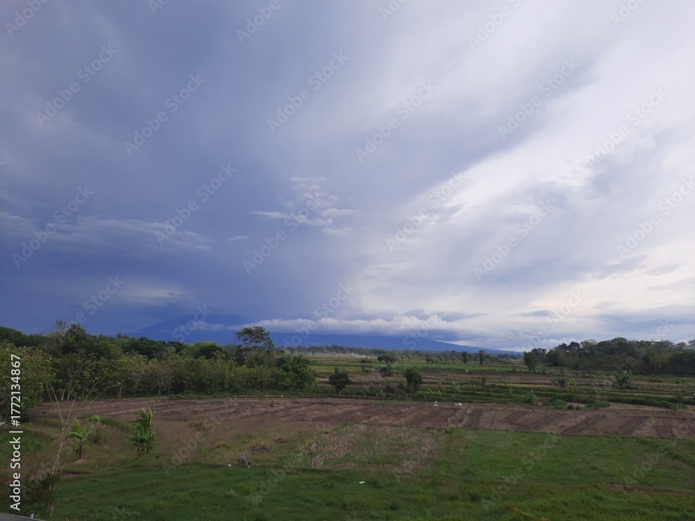Fototapeta premium landscape with clouds