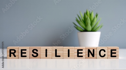 Wooden letter blocks spelling RESILIENCE on clean desk with succulent plant, mental strength and growth mindset.