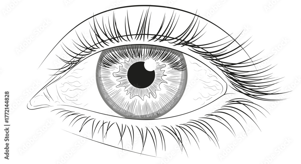 Obraz premium Detailed eye drawing with intricate eyelashes