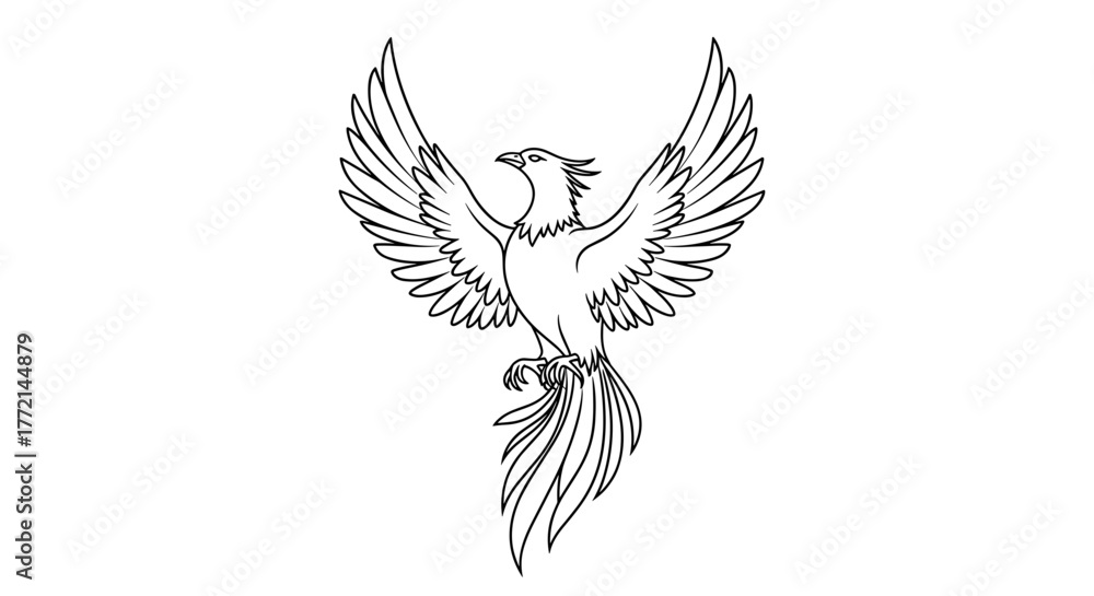 Fototapeta premium Detailed phoenix illustration for coloring book