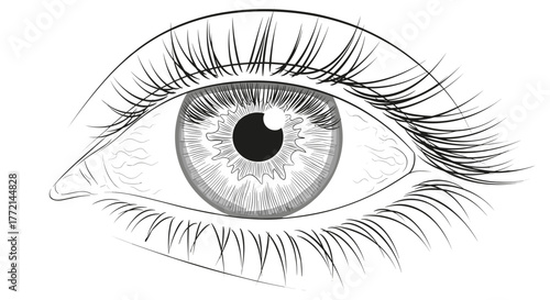 Detailed eye drawing with intricate eyelashes