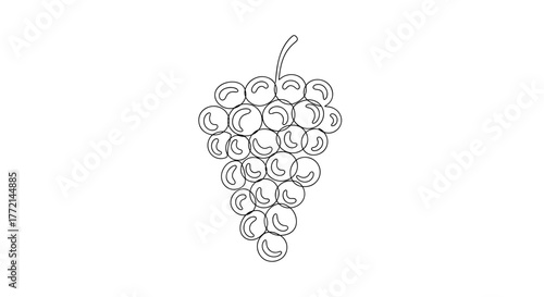 Detailed illustration of a bunch of grapes