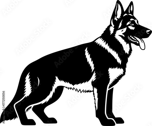 German Shepherd | Black and White Vector illustration
