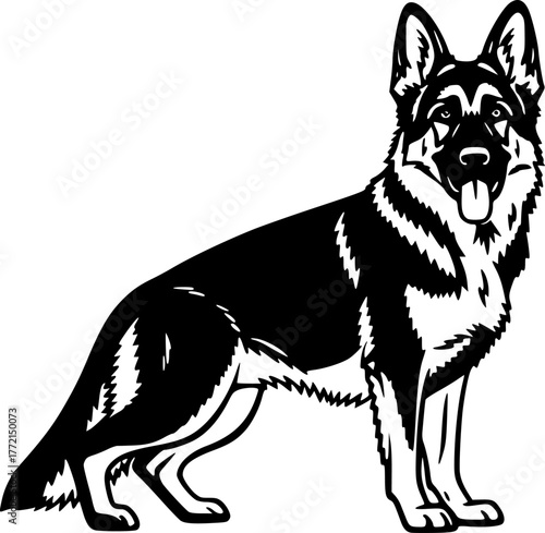 German Shepherd | Black and White Vector illustration
