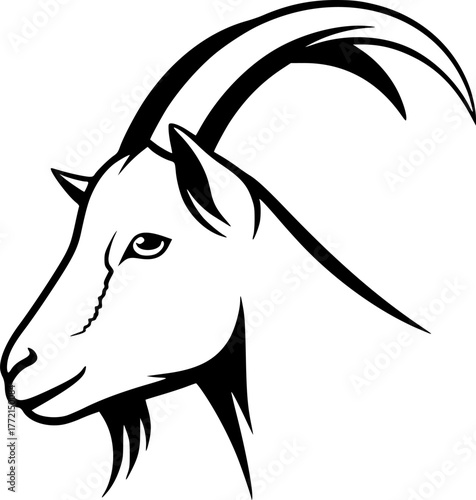 Goat | Black and White Vector illustration
