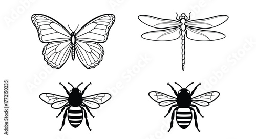 Delicate black and white illustrations of insects including a butterfly and bees