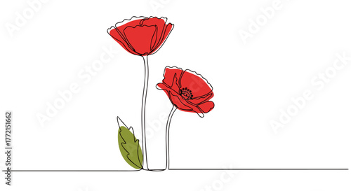 Continuous one line art drawing of two red poppies in bloom, simple and elegant floral design
