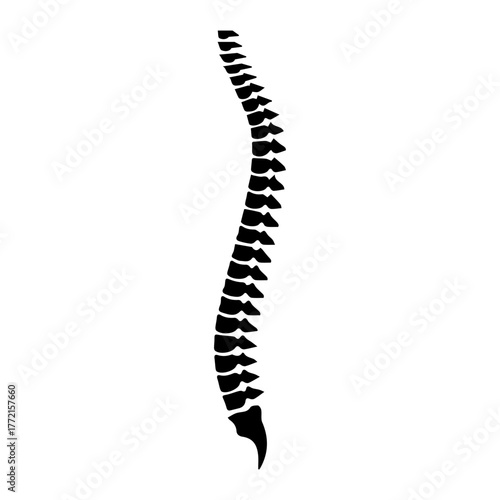 Human Spine Silhouette