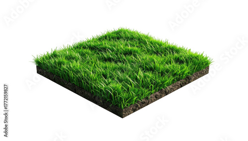 Square cut of grass with dirt, isolated against a dark background