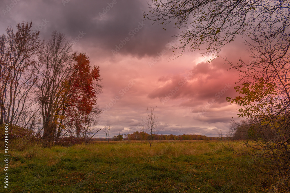 Fototapeta premium Colorful fall leaves Ottawa Autumn