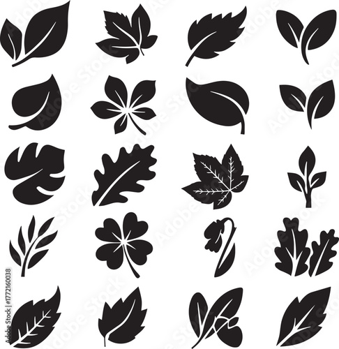 Collection of Black Silhouette Leaf Icons and Symbols on White Background leaves