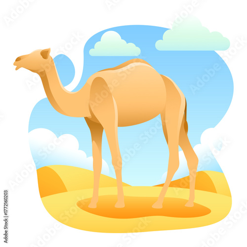 CAMEL ANIMAL QURBAN VECTOR ILLUSTRATION 5