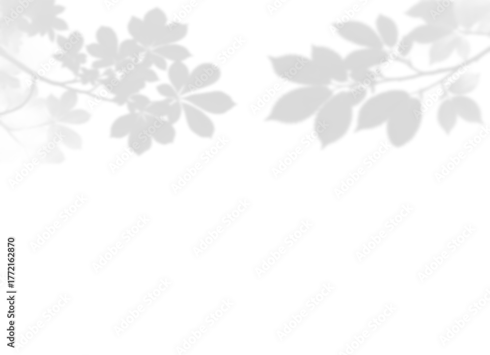 Fototapeta premium Vibrant Leaf and Branch Shadow Overlay